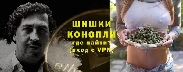 ПСИЛОЦИБИНОВЫЕ ГРИБЫ Осинники
