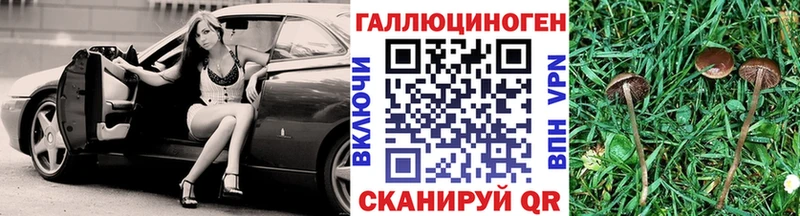 мега зеркало  Новотитаровская  Галлюциногенные грибы ЛСД  купить  